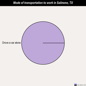 Salineno mode of transportation to work chart