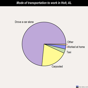 Holt mode of transportation to work chart