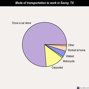 Savoy mode of transportation to work chart