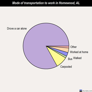 Homewood mode of transportation to work chart