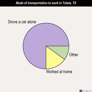 Tuleta mode of transportation to work chart
