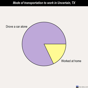 Uncertain mode of transportation to work chart