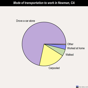 Newman mode of transportation to work chart