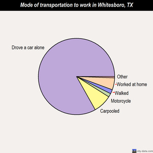 Whitesboro mode of transportation to work chart