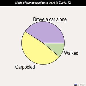 Zuehl mode of transportation to work chart