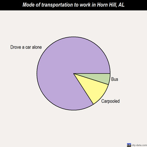 Horn Hill mode of transportation to work chart