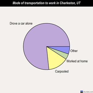 Charleston mode of transportation to work chart