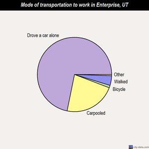 Enterprise mode of transportation to work chart