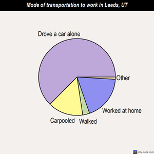 Leeds mode of transportation to work chart