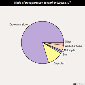 Naples mode of transportation to work chart
