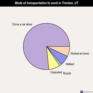 Trenton mode of transportation to work chart