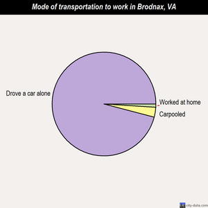 Brodnax mode of transportation to work chart