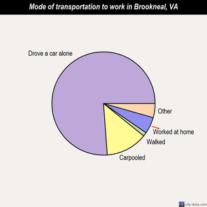 Brookneal mode of transportation to work chart