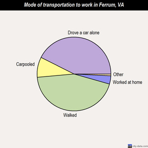Ferrum mode of transportation to work chart
