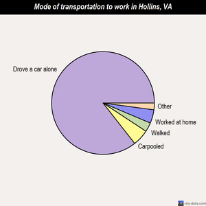 Hollins mode of transportation to work chart