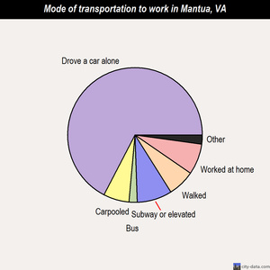 Mantua mode of transportation to work chart