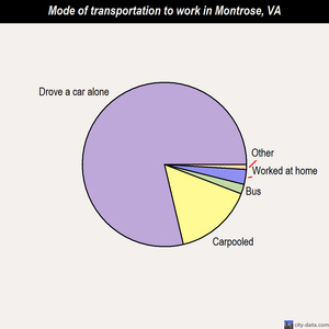 Montrose mode of transportation to work chart