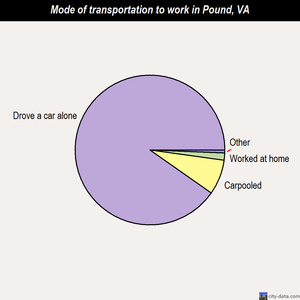 Pound mode of transportation to work chart