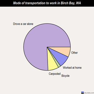 Birch Bay mode of transportation to work chart