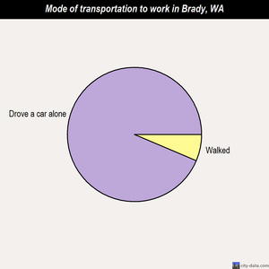 Brady mode of transportation to work chart