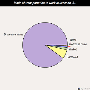 Jackson mode of transportation to work chart