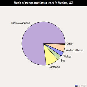 Medina mode of transportation to work chart