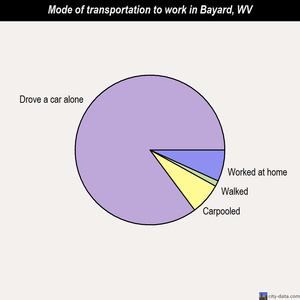 Bayard mode of transportation to work chart
