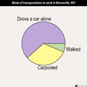 Burnsville mode of transportation to work chart