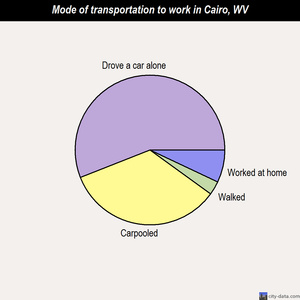 Cairo mode of transportation to work chart