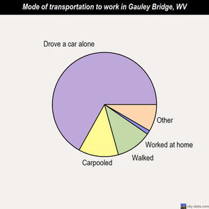 Gauley Bridge mode of transportation to work chart