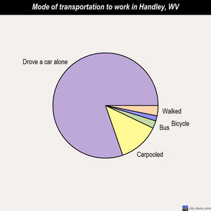Handley mode of transportation to work chart