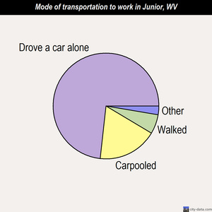 Junior mode of transportation to work chart
