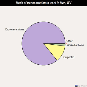 Man mode of transportation to work chart