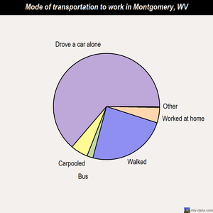 Montgomery mode of transportation to work chart