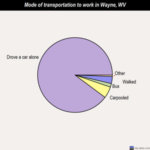 Wayne mode of transportation to work chart