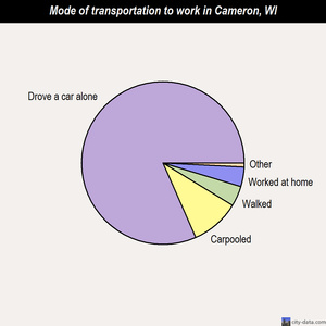 Cameron mode of transportation to work chart