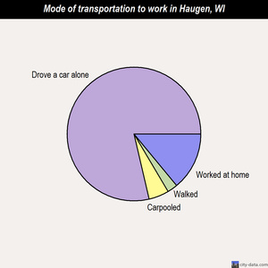 Haugen mode of transportation to work chart