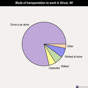 Strum mode of transportation to work chart