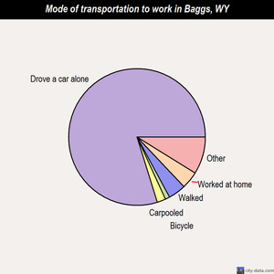 Baggs mode of transportation to work chart