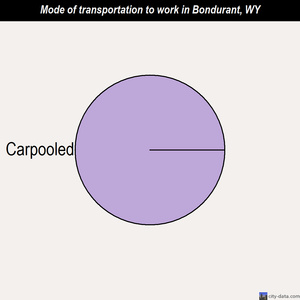 Bondurant mode of transportation to work chart
