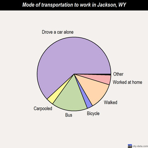 Jackson mode of transportation to work chart