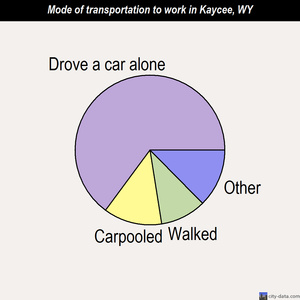 Kaycee mode of transportation to work chart