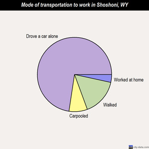 Shoshoni mode of transportation to work chart