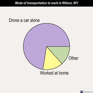 Wilson mode of transportation to work chart