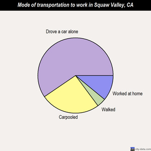 Squaw Valley mode of transportation to work chart