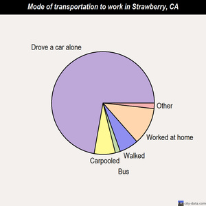 Strawberry mode of transportation to work chart