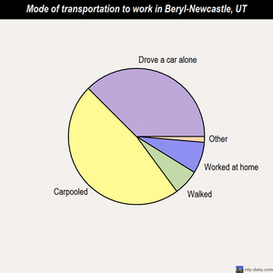 Beryl-Newcastle mode of transportation to work chart