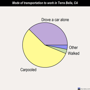 Terra Bella mode of transportation to work chart