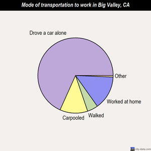 Big Valley mode of transportation to work chart