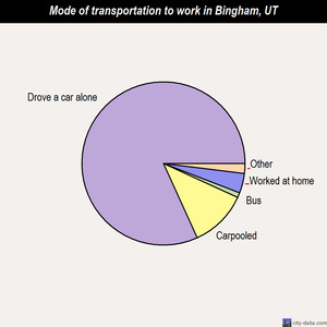 Bingham mode of transportation to work chart
